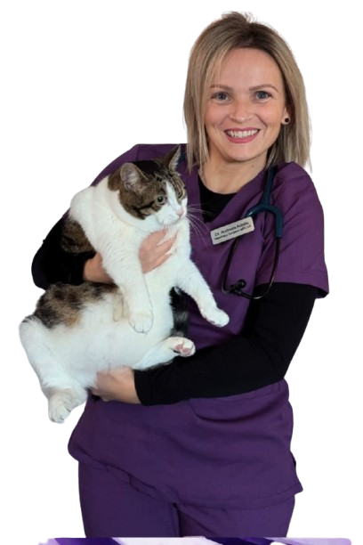about mobile vet in peterborough