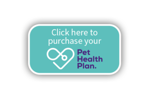 pet health plan